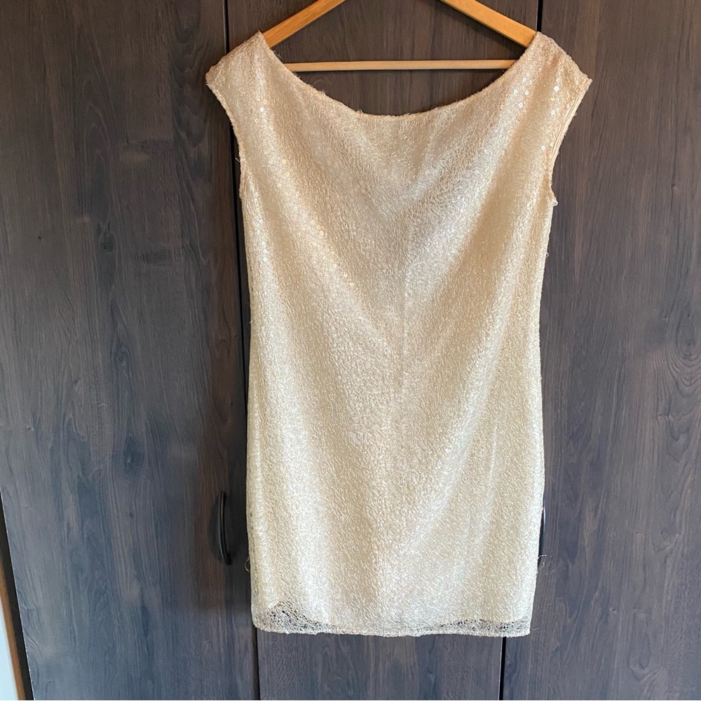 Cynthia Steffe Sequin Lace Sheath Mini Dress Size 6